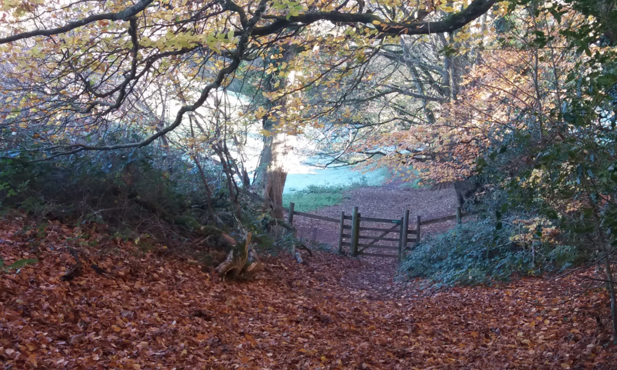 News Items Quantock Ministries